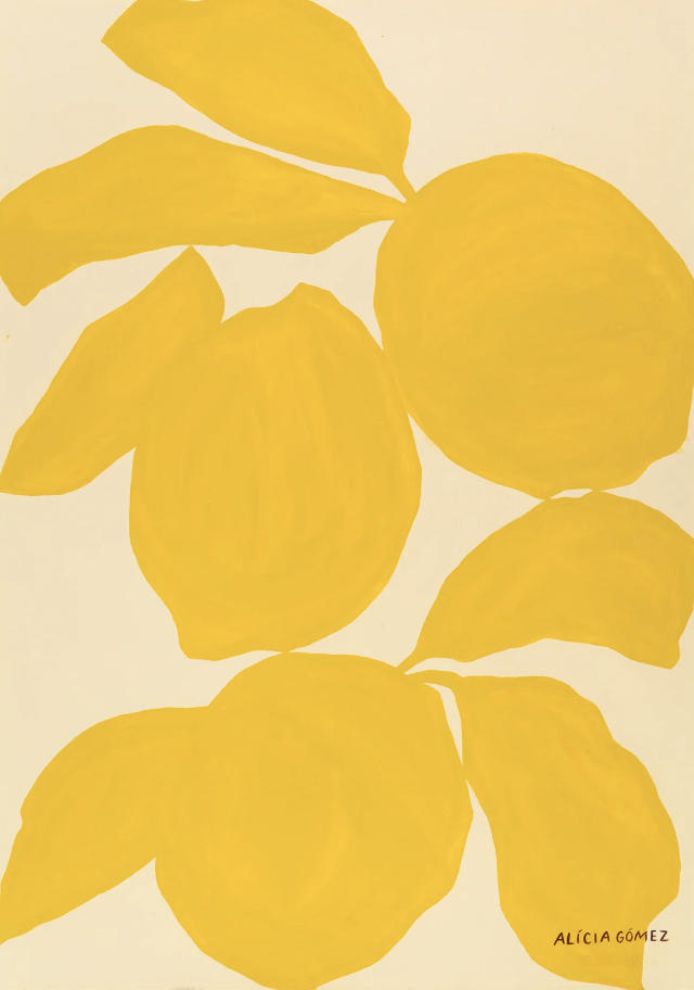 Captura de pantalla 2025-05-01 a las 13.34.34