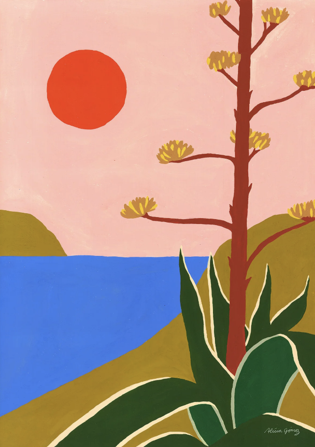 Captura de pantalla 2025-05-01 a las 13.35.00