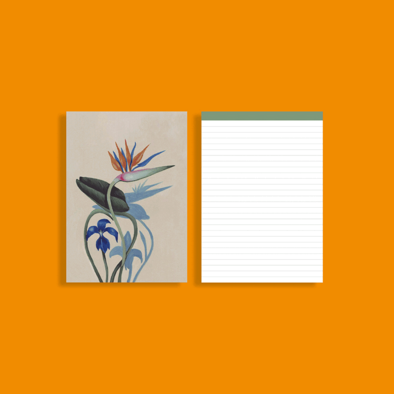 Bloc de notas DRACUNCULUS