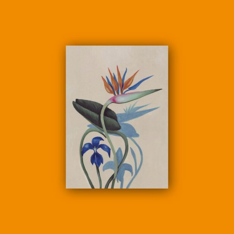 Libreta A5/A6 DRACUNCULUS