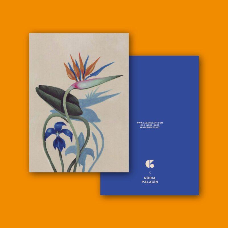 Libreta A5/A6 DRACUNCULUS